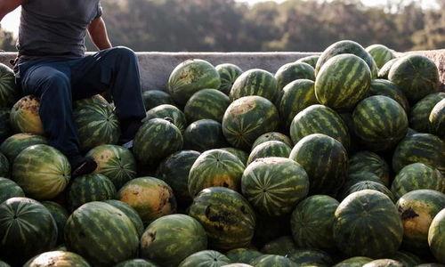 吃瓜网今日大瓜,揭秘娱乐圈最新热点事件